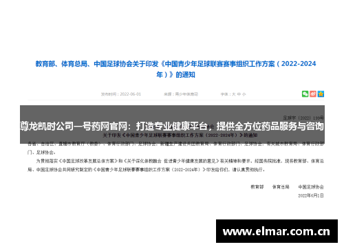 尊龙凯时公司一号药网官网：打造专业健康平台，提供全方位药品服务与咨询