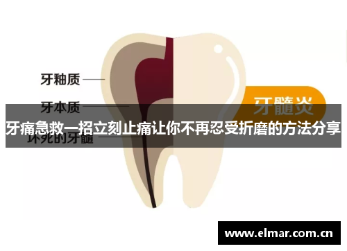 牙痛急救一招立刻止痛让你不再忍受折磨的方法分享